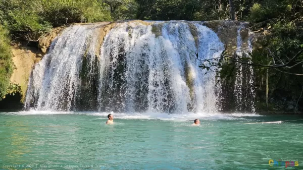 From Palenque: Roberto Barrios Waterfalls 2026 — Tour in Chiapas