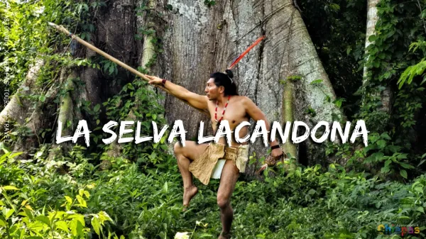 Eco-Hotel Sak Nok — Selva Lacandona, Chiapas